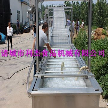 利杰牌LJ-6000葡萄干氣泡清洗機