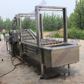 大棗清洗機(jī)流水線 氣泡清洗機(jī) 蔬菜清洗機(jī) 非標(biāo)定做