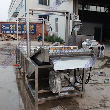 供應(yīng)水果蔬菜清洗機(jī) 果蔬清洗設(shè)備 全自動(dòng)氣泡清洗機(jī)