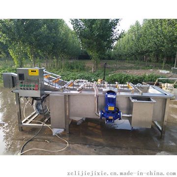 辣椒清洗機 油菜鼓泡清洗機 高效節(jié)能型氣泡噴淋式果蔬清洗機