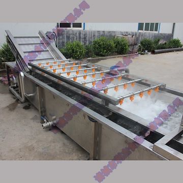 山楂清洗機(jī) 全自動(dòng)蔬菜清洗機(jī)