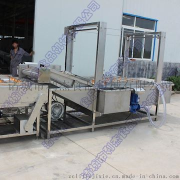 不銹鋼氣泡蔬菜清洗機(jī) 白菜清洗機(jī) 提升式清洗機(jī)
