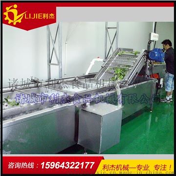 網(wǎng)帶式蔬菜清洗機 全自動鼓泡清洗機 蘋果氣泡清洗機