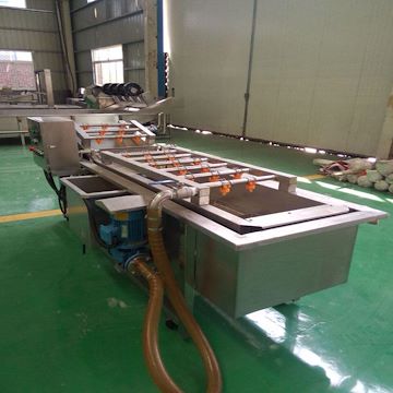 不銹鋼蔬菜清洗機 水果氣泡清洗機