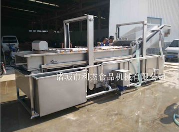 不銹鋼杏子氣泡清洗機(jī)