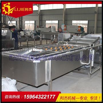 蔬菜清洗機/果蔬清洗機/氣泡清洗機