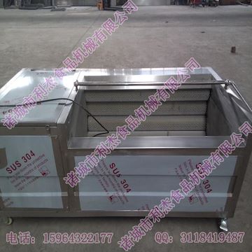 毛輥去皮清洗機 根莖類蔬菜清洗設備