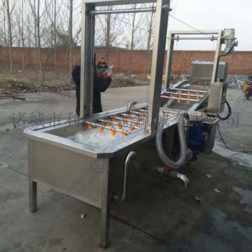 蔬菜清洗機/全自動果蔬清洗機/氣泡清洗機